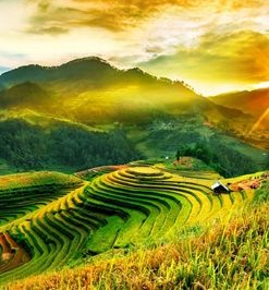 Sapa
